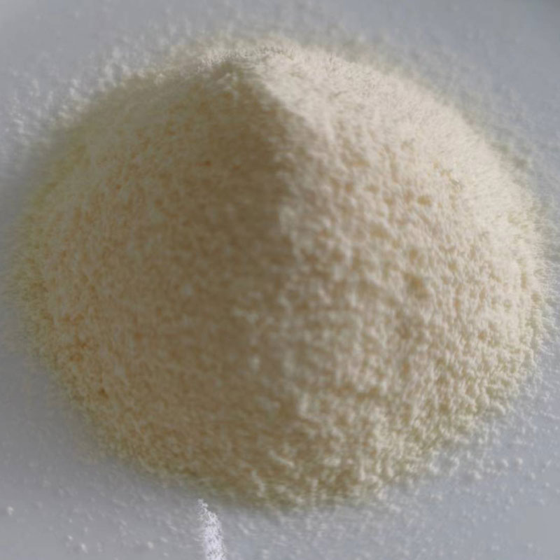 制酸剤非乳製品クリーマーはどのように消化器の健康を改善しますか?